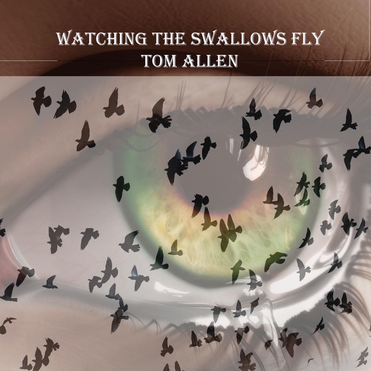 Watching the Swallows Fly - EP by Tom Allen album cover