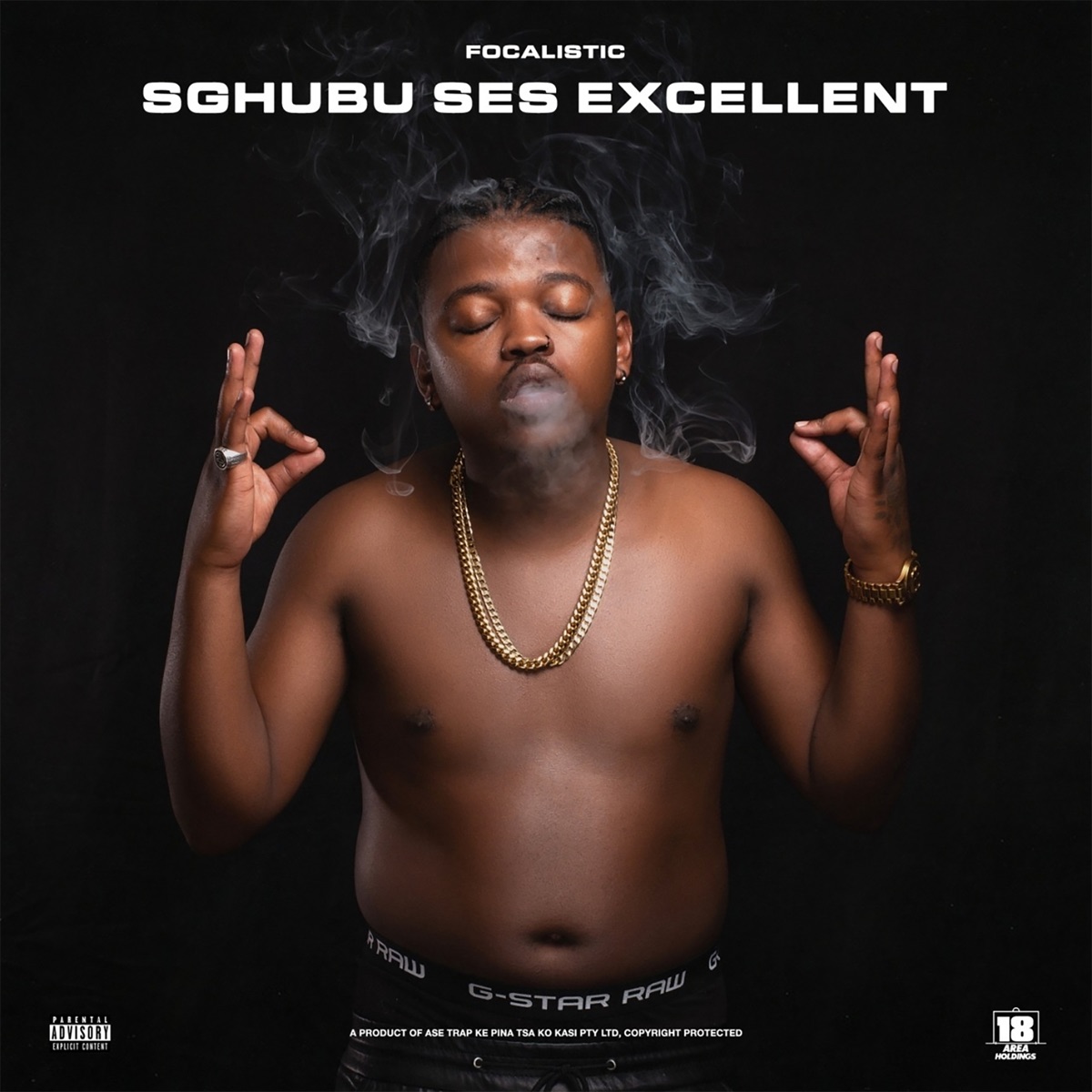 Sghubu Ses Excellent by Focalistic album cover