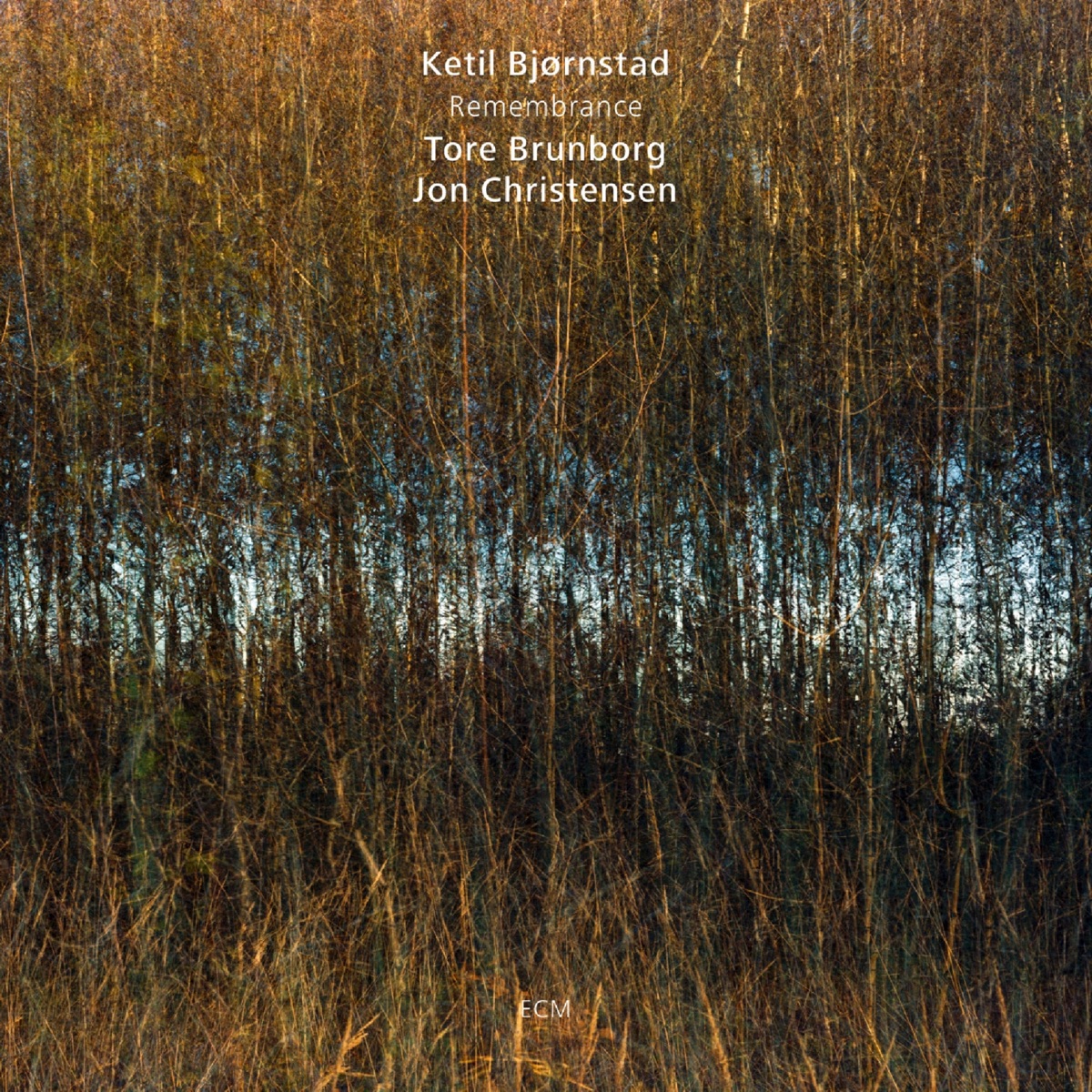 Remembrance by Ketil Bjørnstad, Tore Brunborg & Jon Christensen album cover