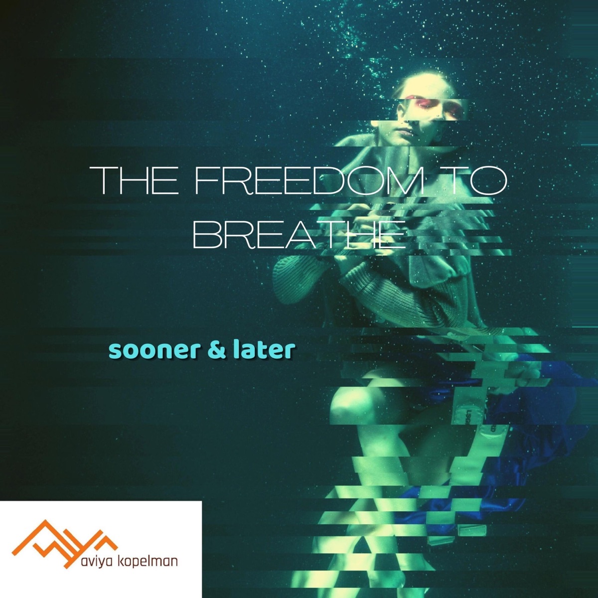 The Freedom to Breathe - Single by Aviya Kopelman album cover