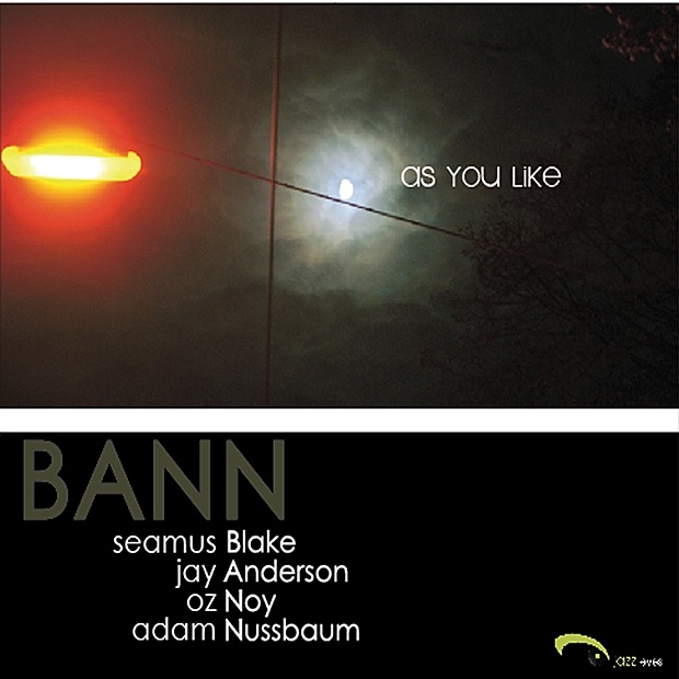 As You Like by Seamus Blake, Jay Anderson, Oz Noy & Adam Nussbaum album cover