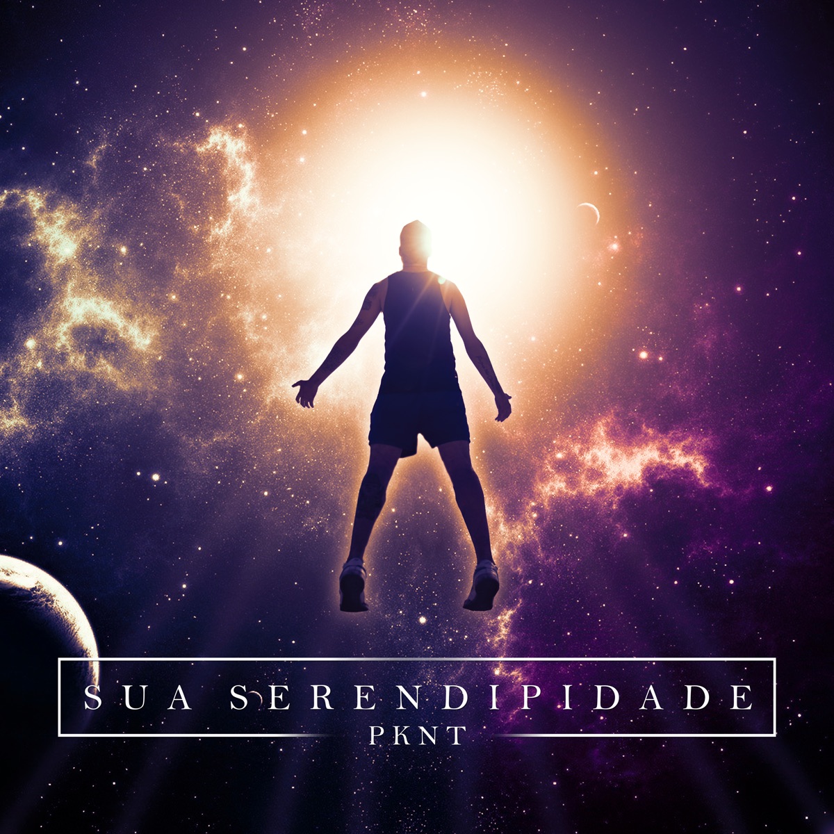 Sua Serendipidade (Remix) - Single by PKNT album cover