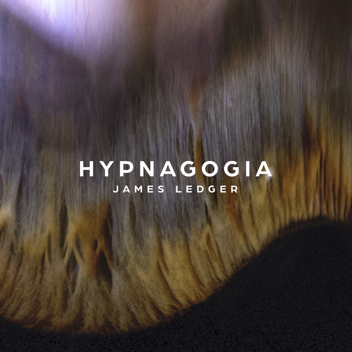 Hypnagogia by James Ledger album cover