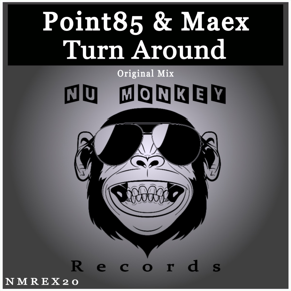 Turn Around - Single by Point85 & Mæx album cover