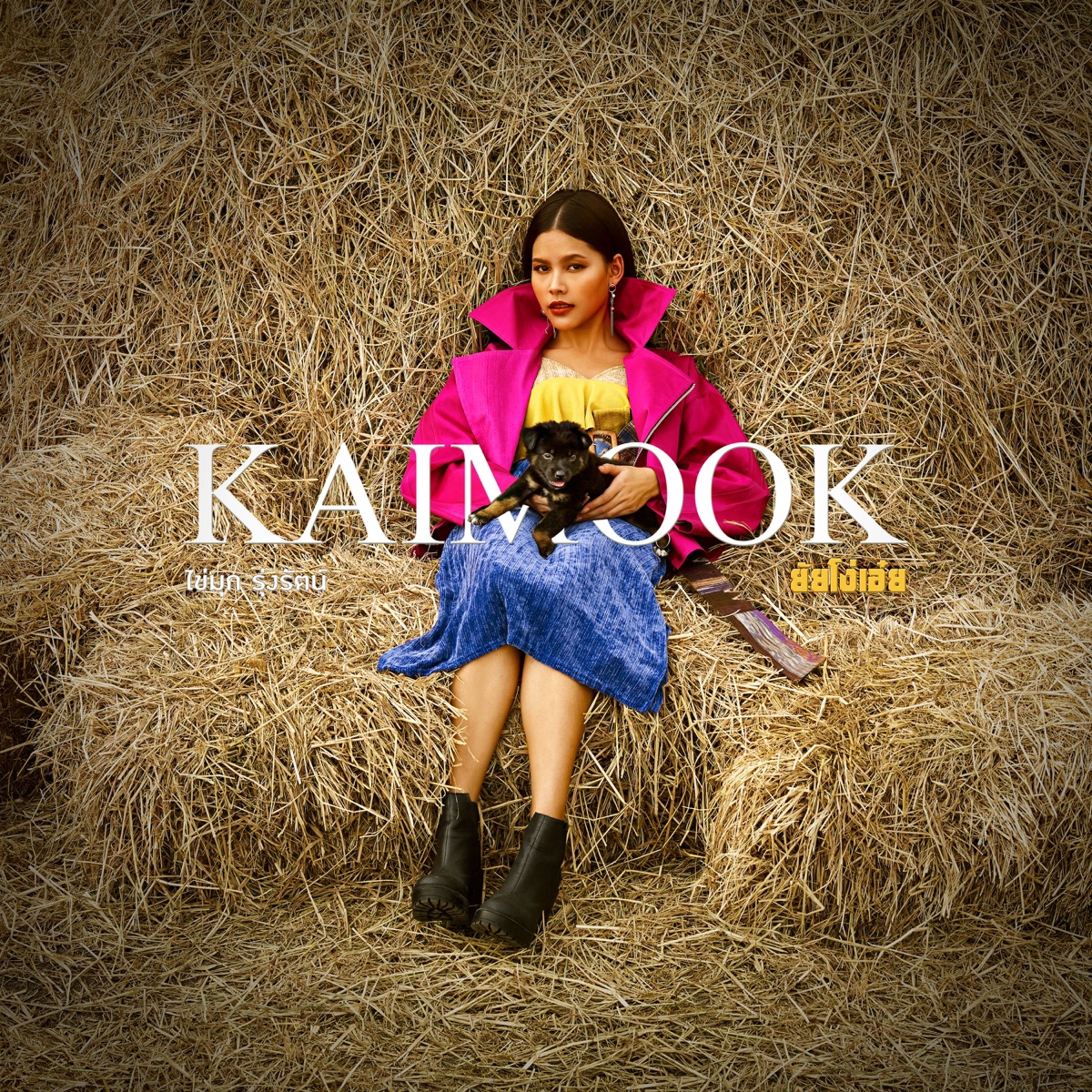 ยัยโง่เอ๋ย (feat. TOSSAKAN) - Single by Kaimook Rungrat album cover