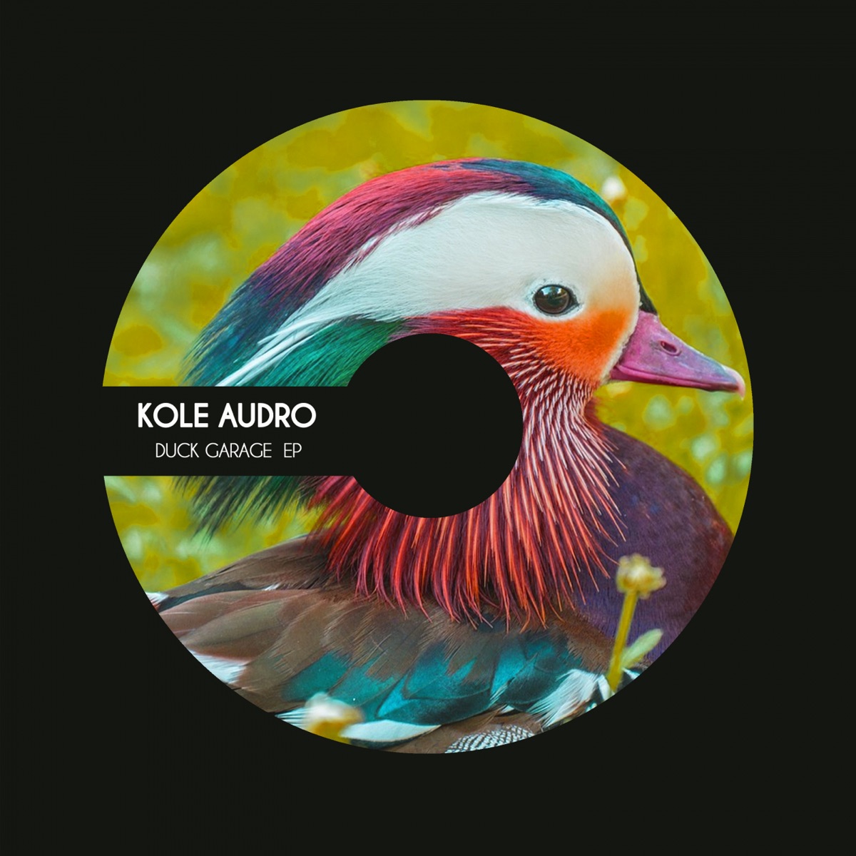 Duck Garage EP by Kole Audro album cover