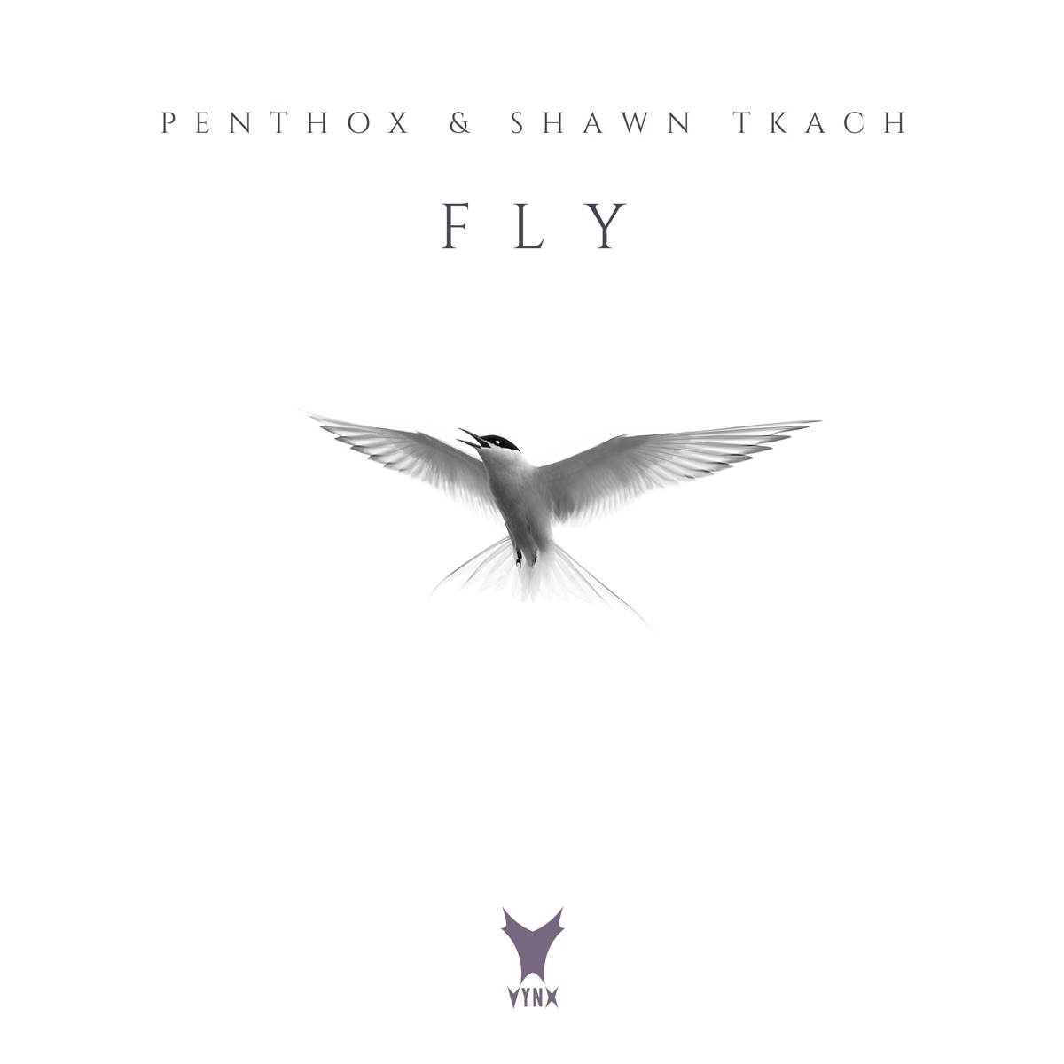 Fly - Single by Penthox & Shawn Tkach album cover