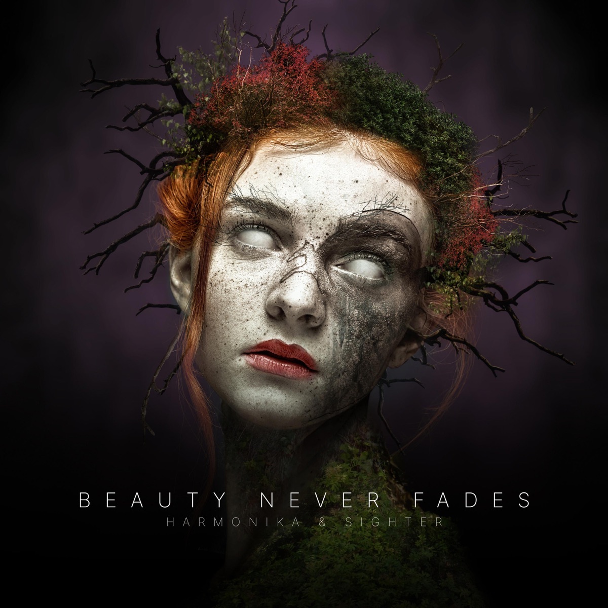 Beauty Never Fades - Single by Harmonika & Sighter album cover