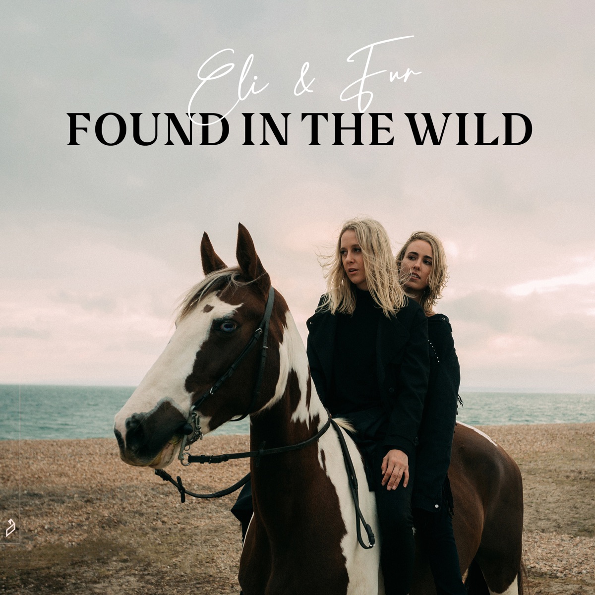 Found In The Wild by Eli & Fur album cover