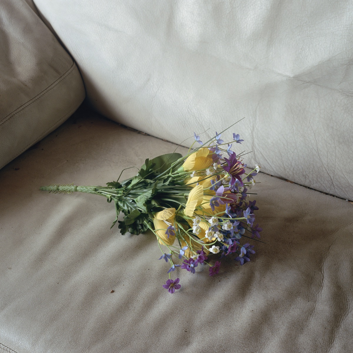 Bewildered Hearts by Ursula Bachmann album cover