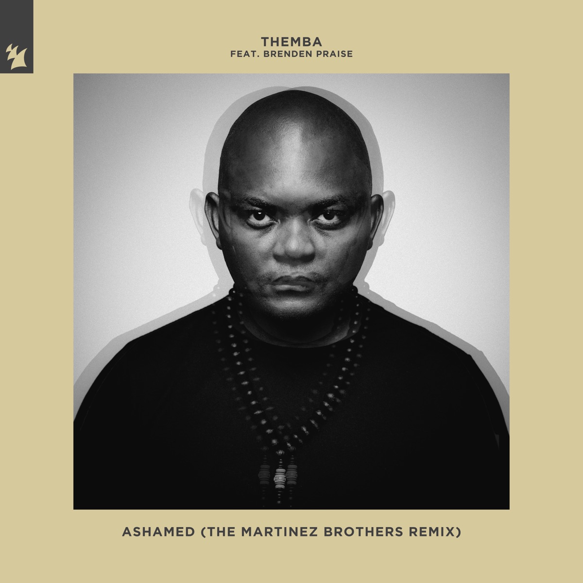 Ashamed (feat. Brenden Praise) [The Martinez Brothers Remix] - Single by THEMBA album cover