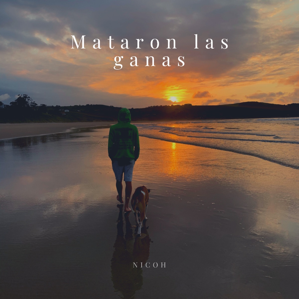 Mataron las Ganas - Single by Nicoh album cover