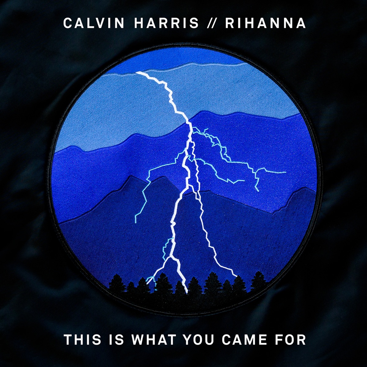 This Is What You Came For - Single by Calvin Harris & Rihanna album cover