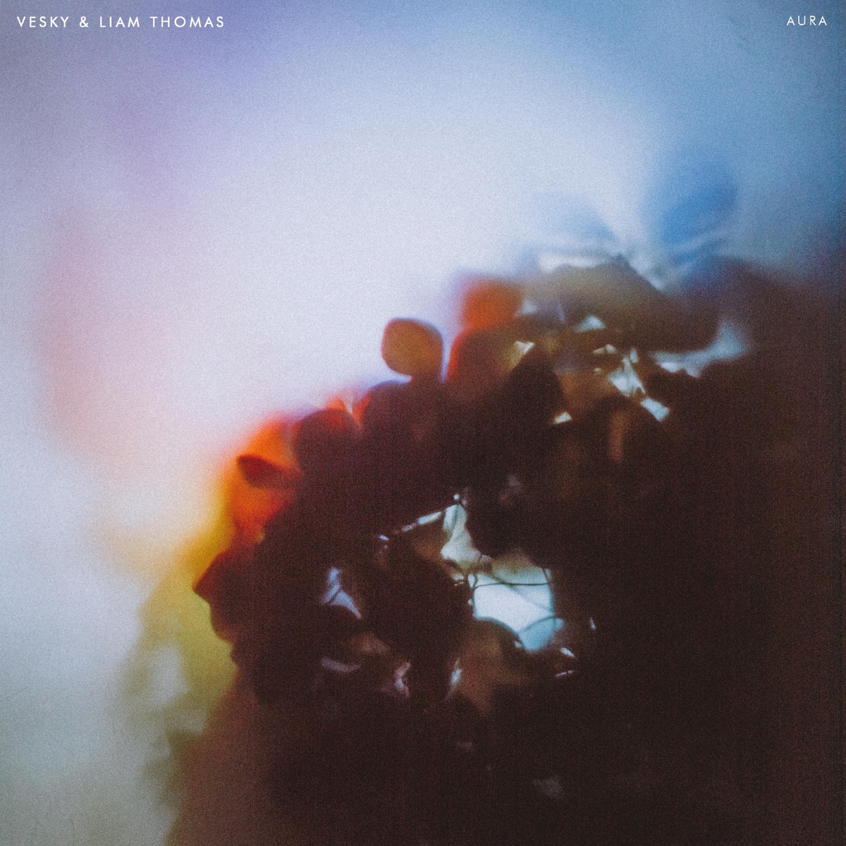 Aura - Single by vesky & Liam Thomas album cover