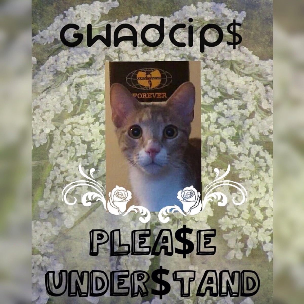 Plea$e Under$tand by Gwadcip$ album cover