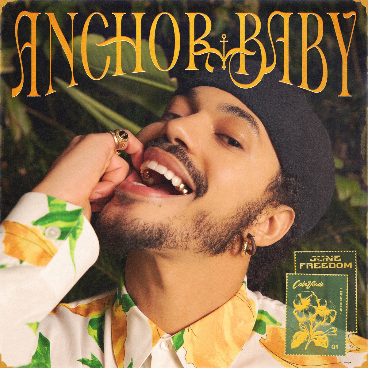 Anchor Baby by June Freedom album cover