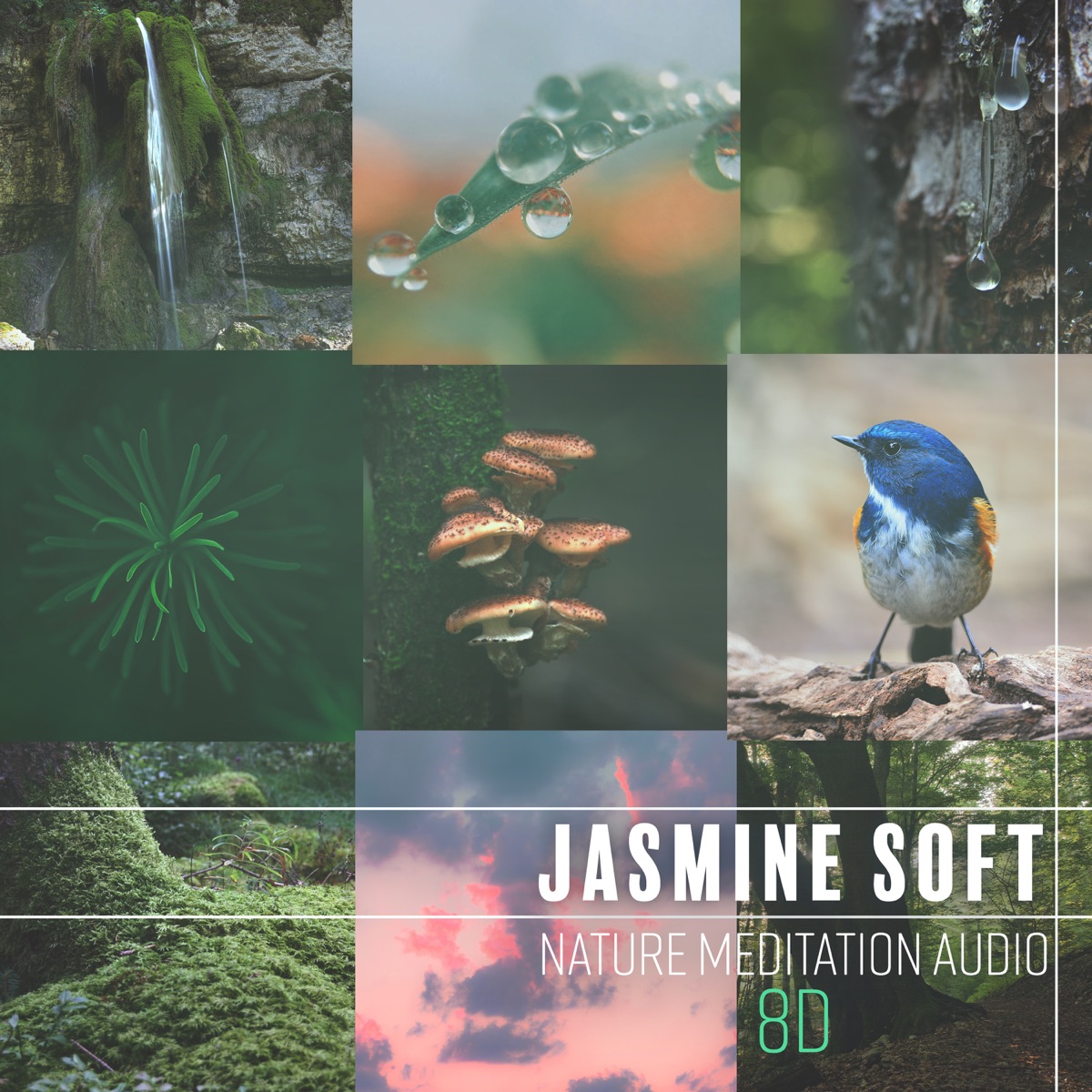 Nature Meditation Audio: 8D Relaxing Nature ASMR Sounds by Jasmine Soft album cover