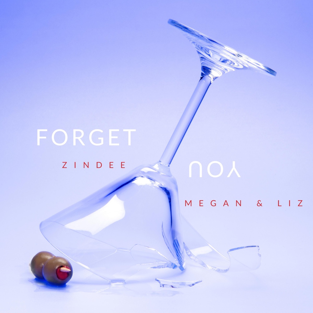 Forget You - Single by Zindee & Megan & Liz album cover
