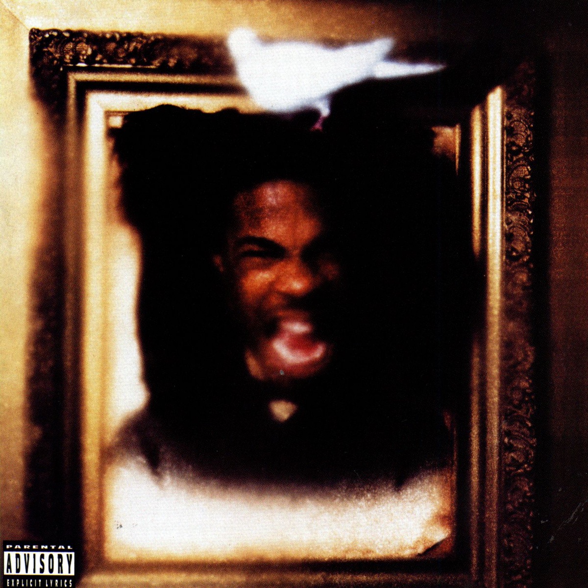 The Coming by Busta Rhymes album cover