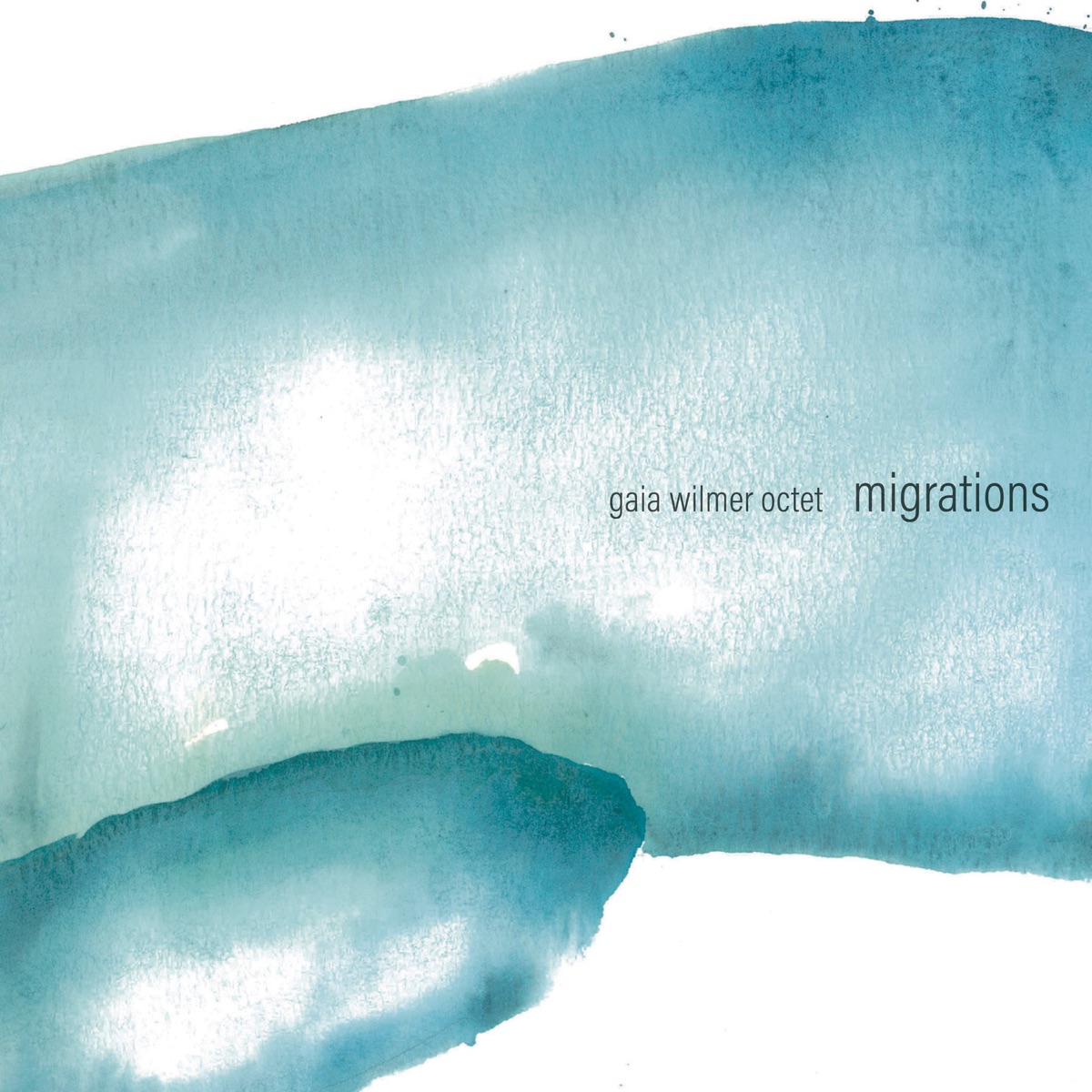 Migrations (Instrumental) by Gaia Wilmer album cover