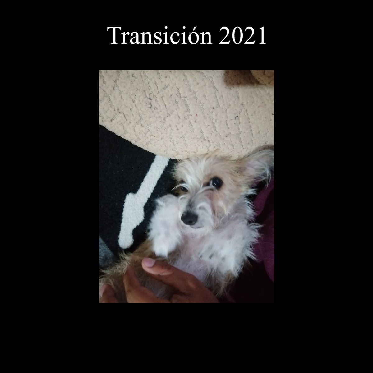 Transición - Single by Bofflow album cover
