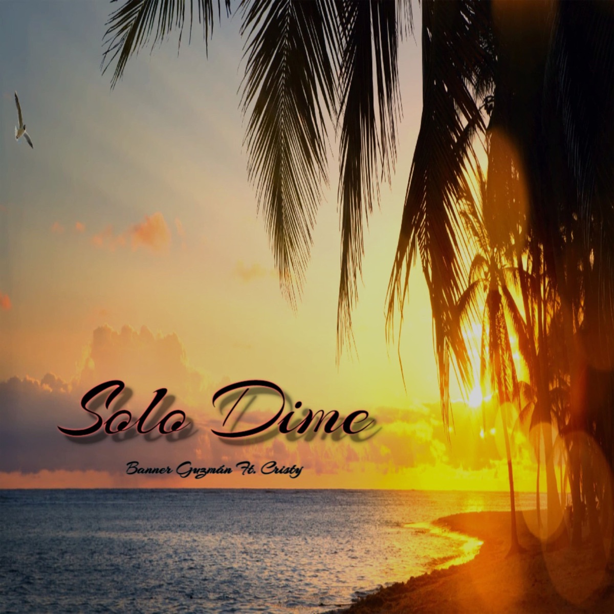 Solo Dime (feat. Cristy) - Single by Banner Guzmán album cover