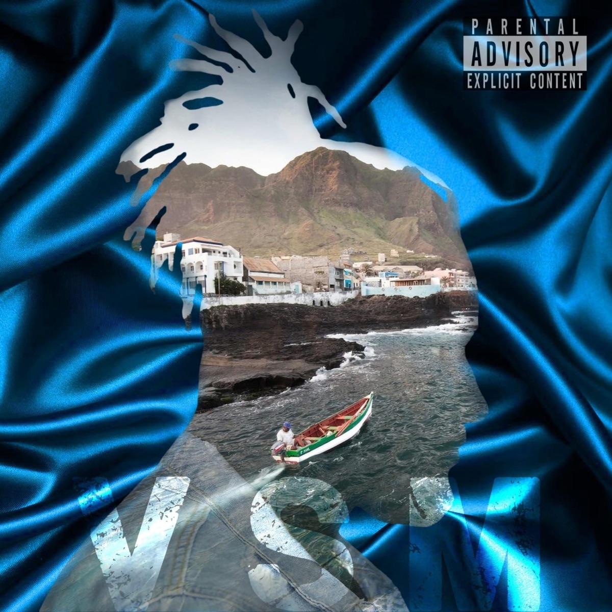 VSM - Single by NEKI SB album cover