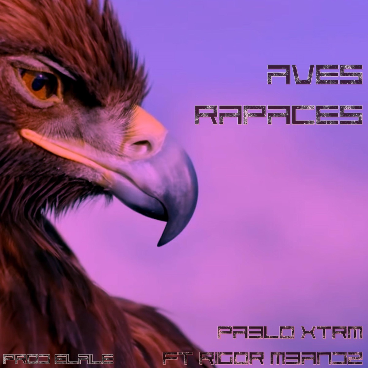 Aves Rapaces (feat. Rigor Mbandz) - Single by Pablo Xtrm album cover