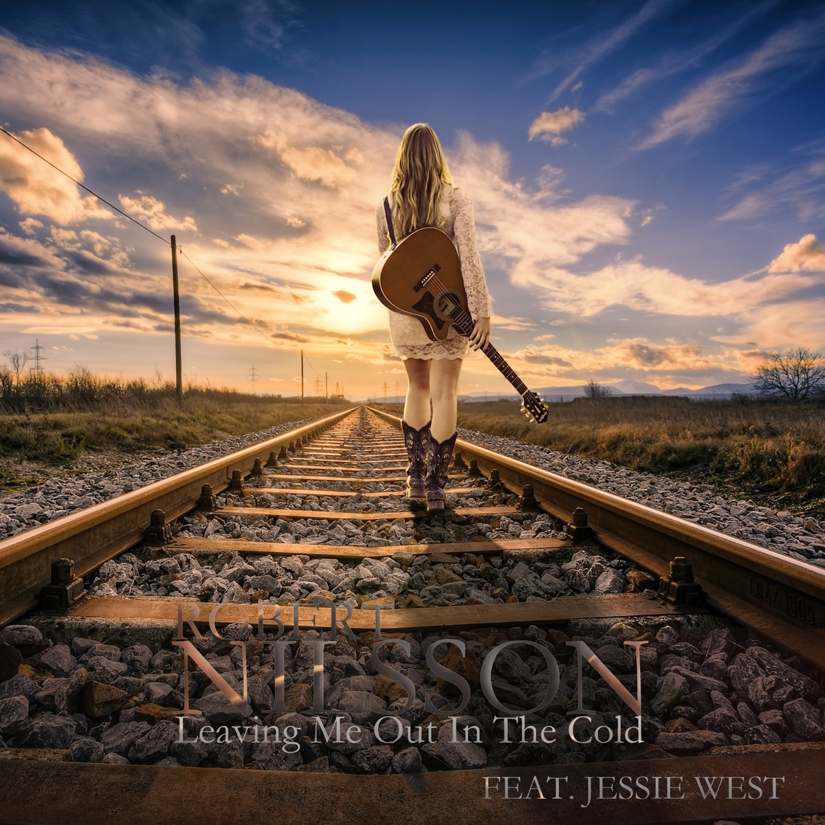 Leaving Me out in the Cold - Single by Robert Nilsson album cover