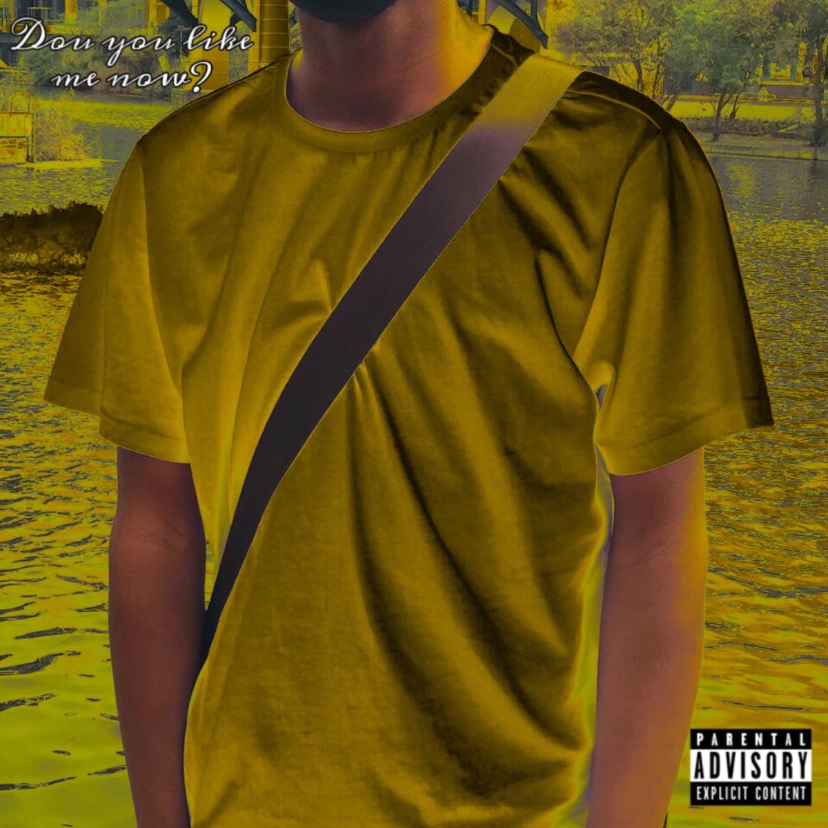 Do You Like Me Now? - EP by Himself TheMajor, Simz, Hchsts, Calamity Jones & Savage Prince album cover