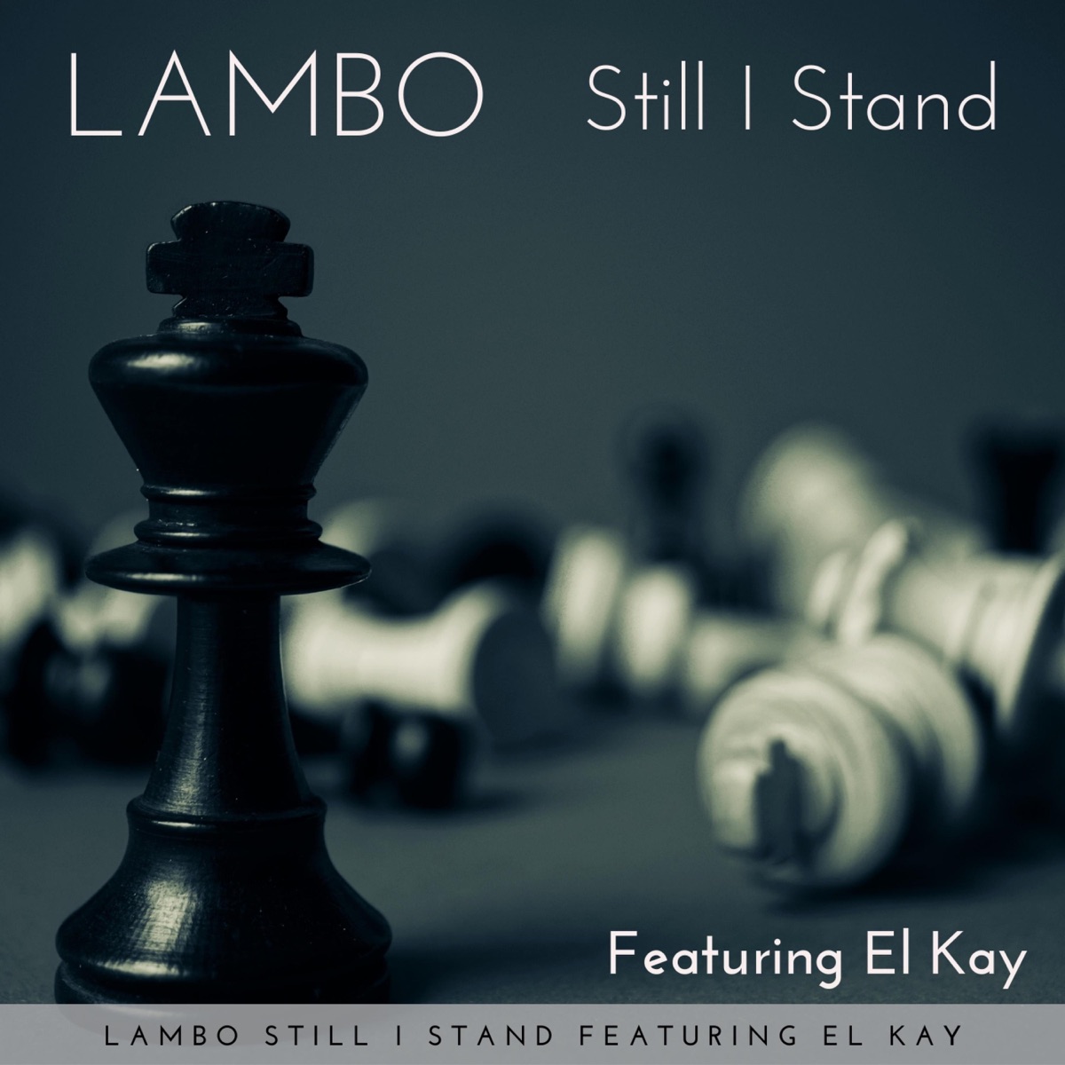 STILL I STAND (feat. EL Kay) - Single by LAMBO DAVIRUS album cover
