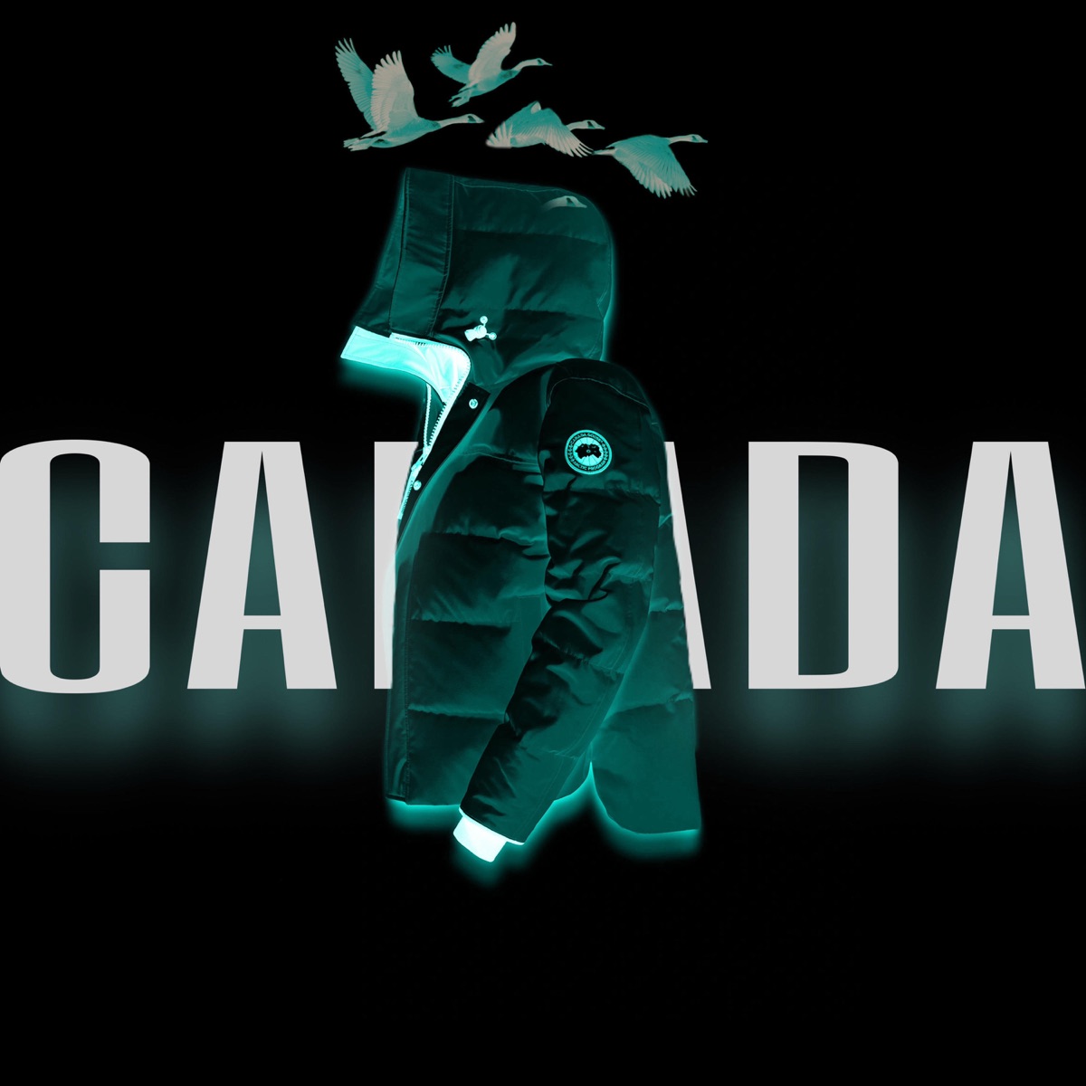 Canada - Single by Tarek & Zenci album cover