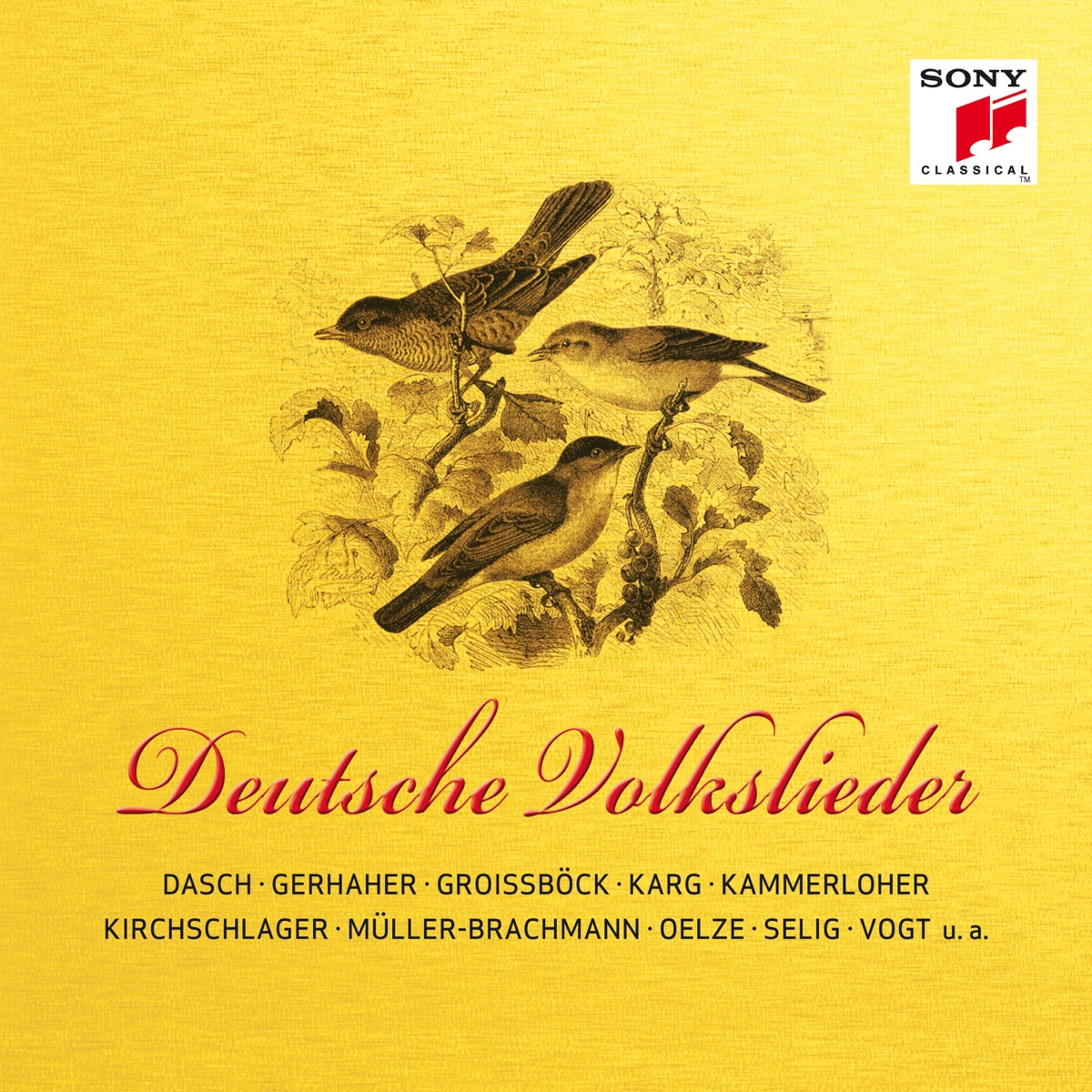 Deutsche Volkslieder / German Folk Songs by Detlef Roth, Christiane Karg, Katharina Kammerloher, Angelika Kirchschlager, Christian Gerhaher, Franz-Josef Selig, Stephan Rügamer, Günther Groissböck, Windsbach Boys Choir, Annette Dasch, Singer Pur, Stella Doufexis, Klaus Florian Vogt, Daniel Johannsen, Michaela Kaune, Hanno Müller-Brachmann, Christiane Oelze, Helmut Deutsch, Eric Schneider, Gerold Huber, Michael Barenboim & Chor der Pfadfinderinnen album cover