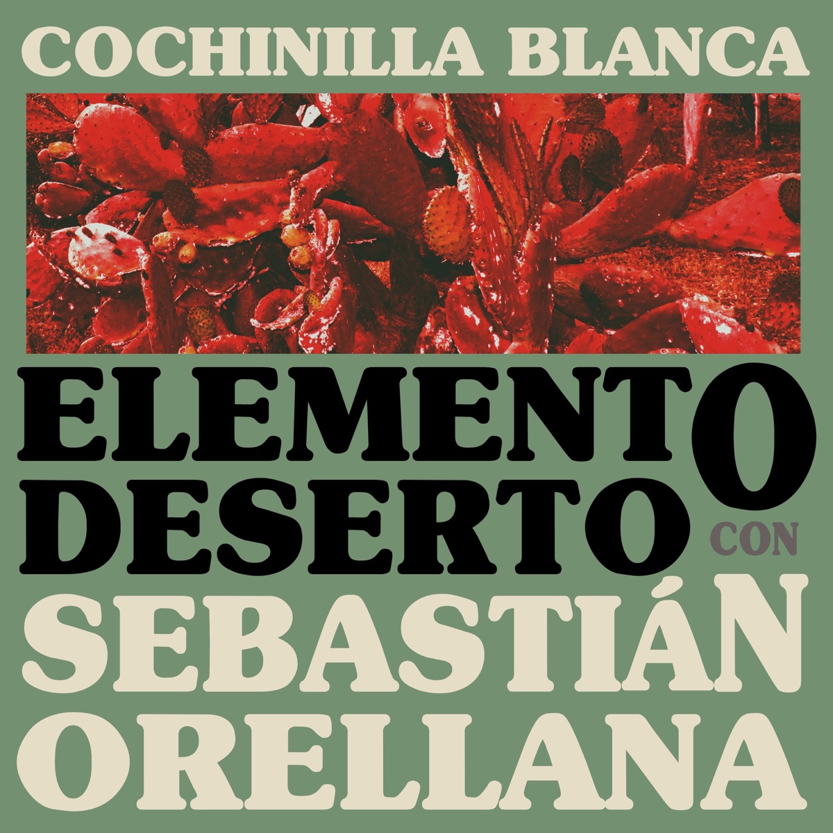 Cochinilla Blanca - Single by Elemento Deserto & Sebastián Orellana album cover