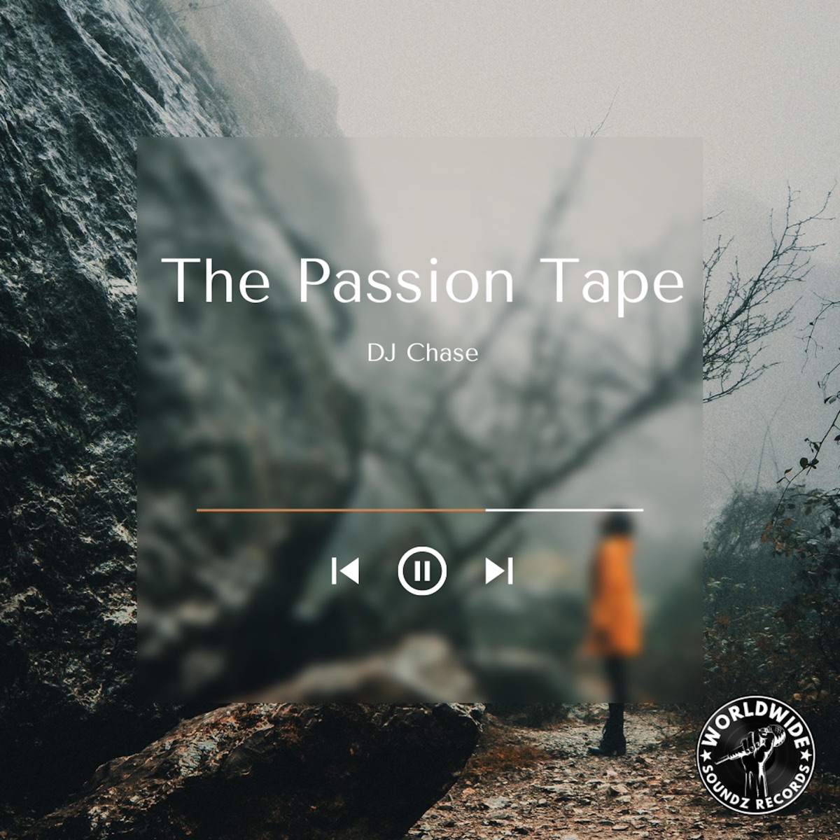 The Passion Tape (Instrumental) - EP by DJ Chase album cover