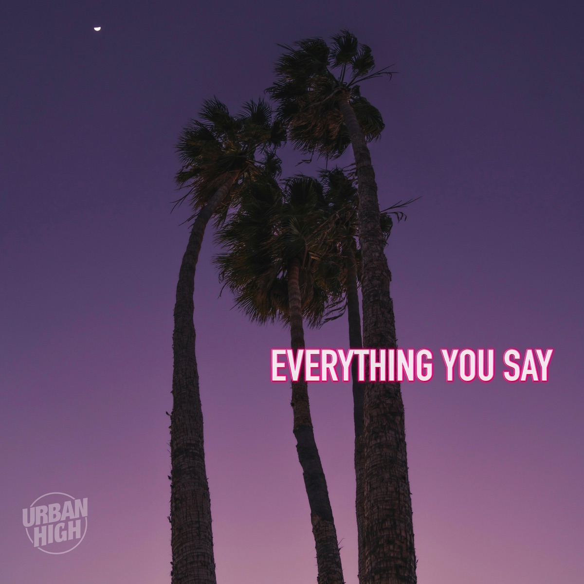 Everything You Say - Single by Urban High album cover