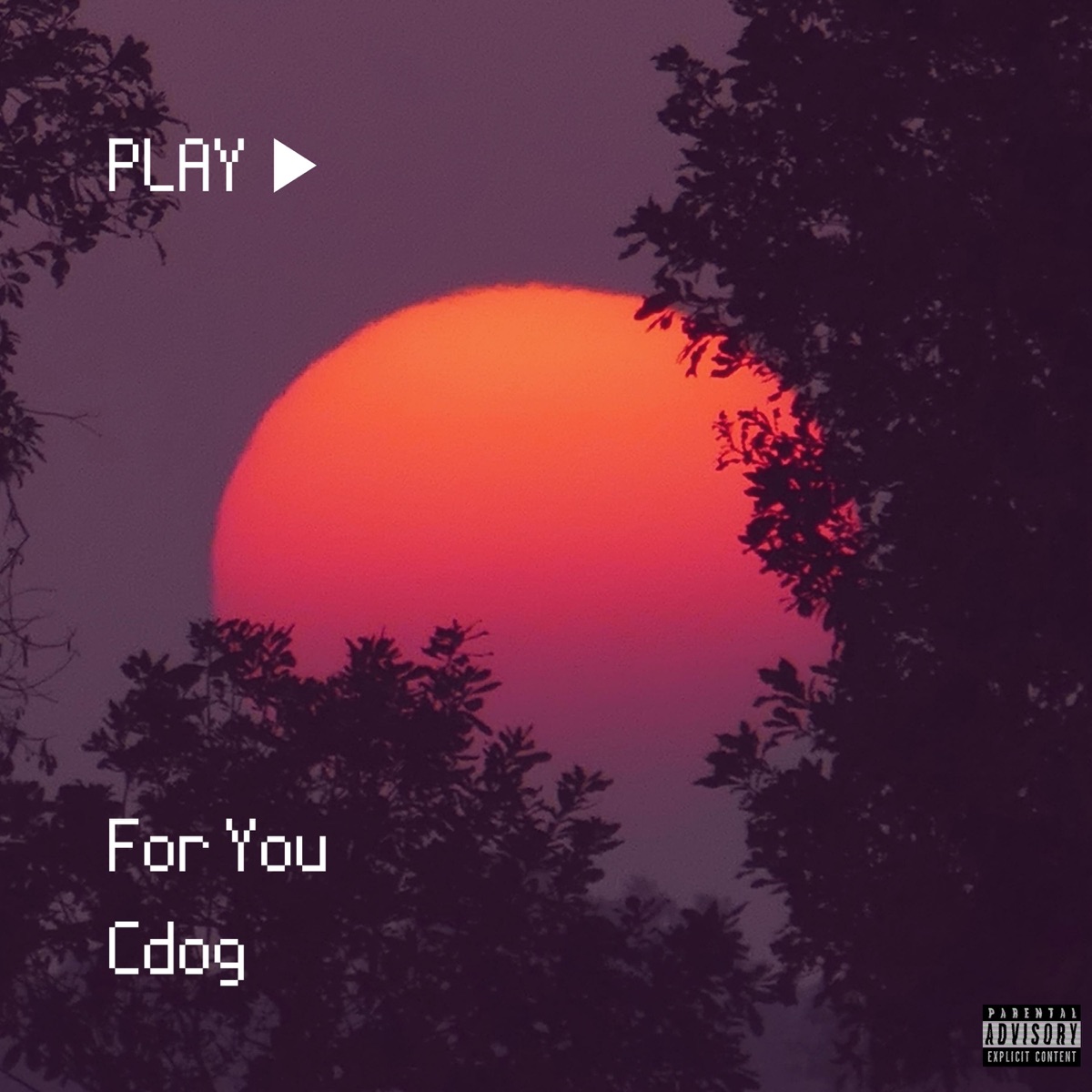 For You (feat. BloBo) - Single by Cdog album cover