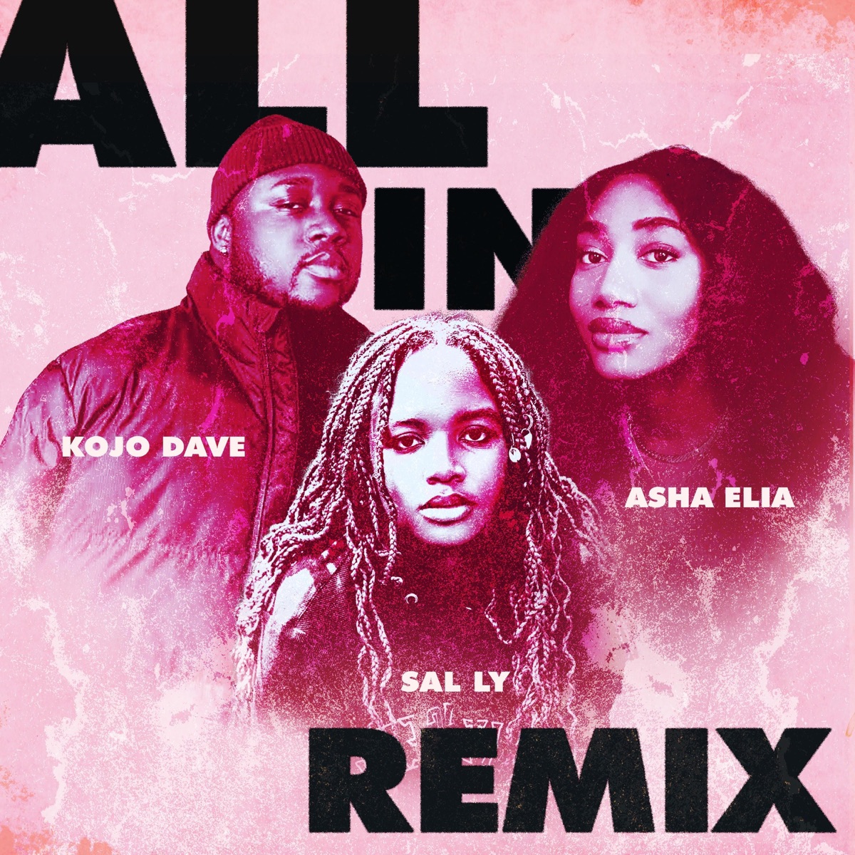 All In (Remix) [Remix] - Single by Asha Elia, Kojo Dave & Sal Ly album cover