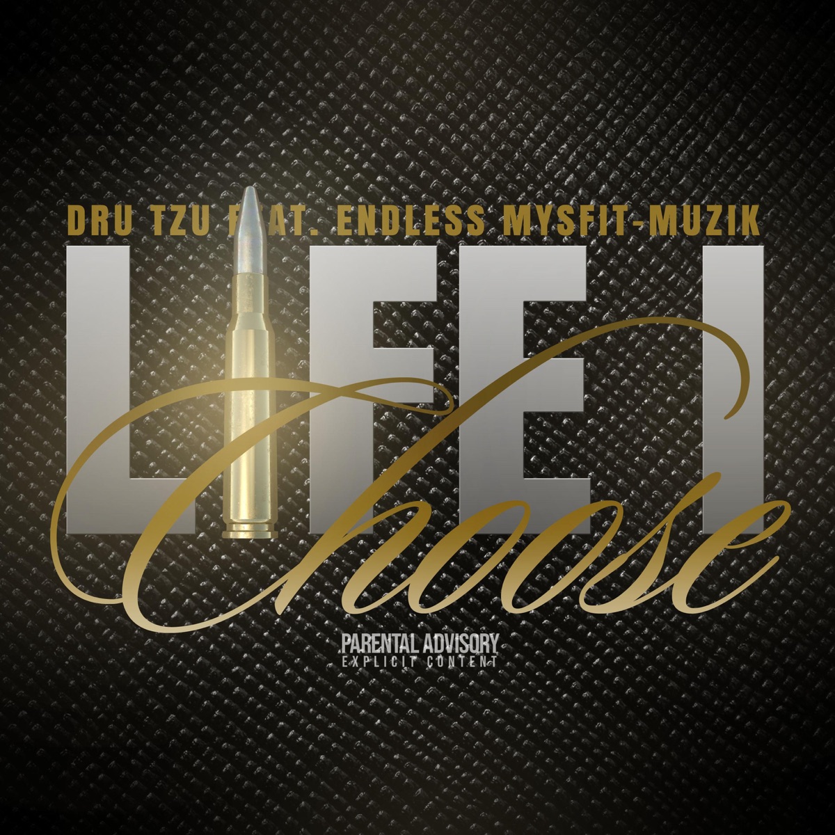 Life I Choose (feat. Endless Mysfit-Muzik) - Single by Dru Tzu album cover