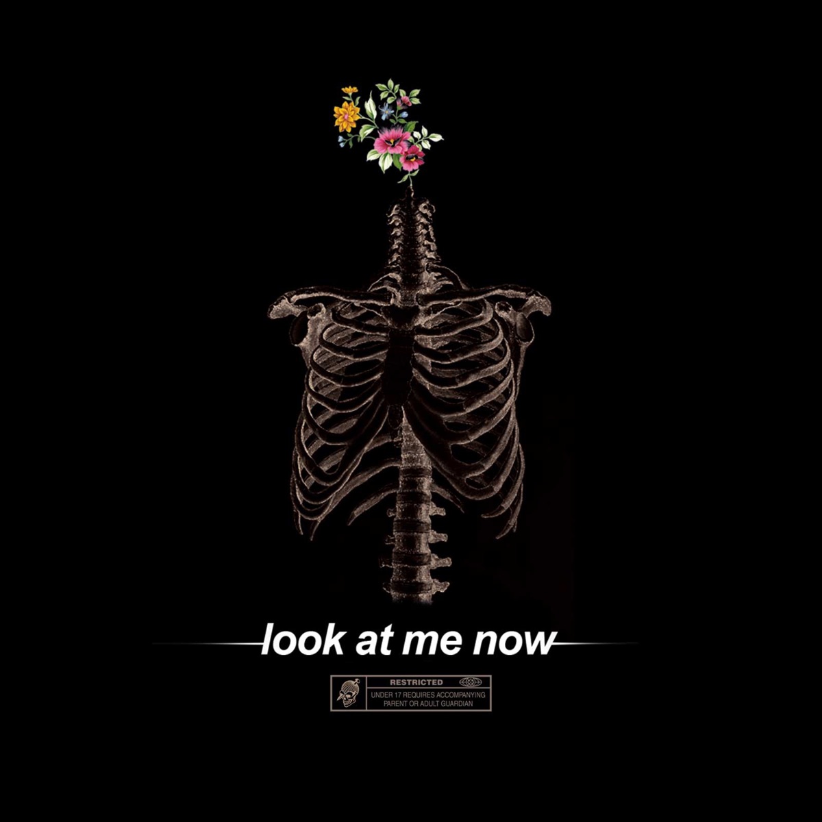 Look at Me Now - Single by Brennan Savage album cover
