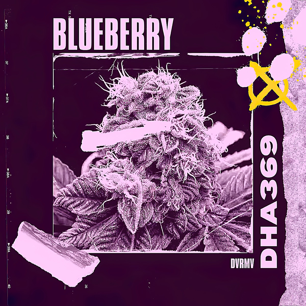 Blueberry (En Vivo) - Single by DHA369 album cover
