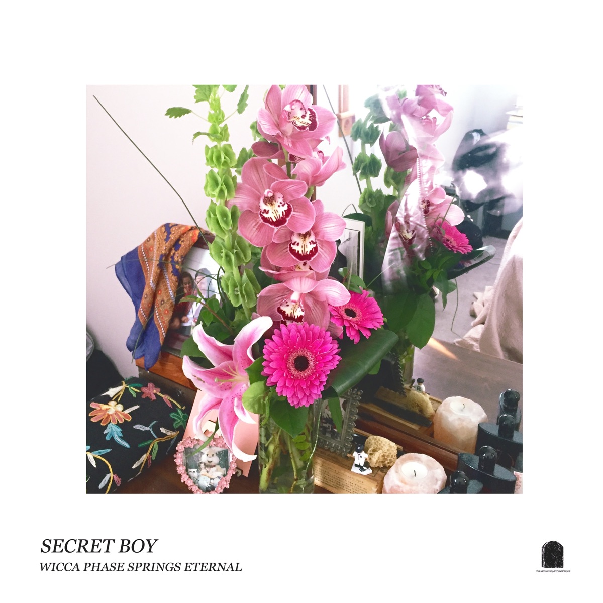 Secret Boy by Wicca Phase Springs Eternal album cover