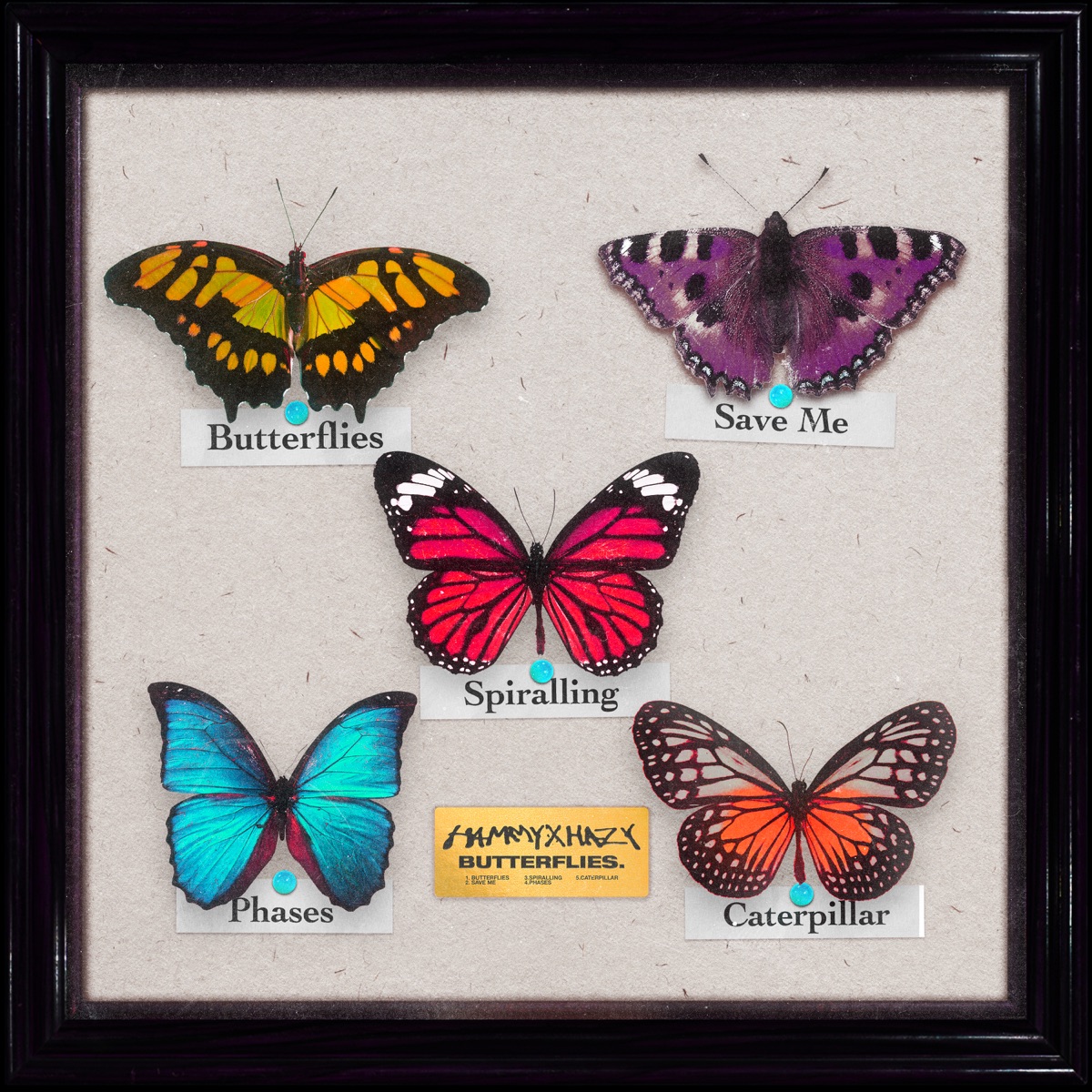 Butterflies (feat. Hazy) - EP by Hammy album cover