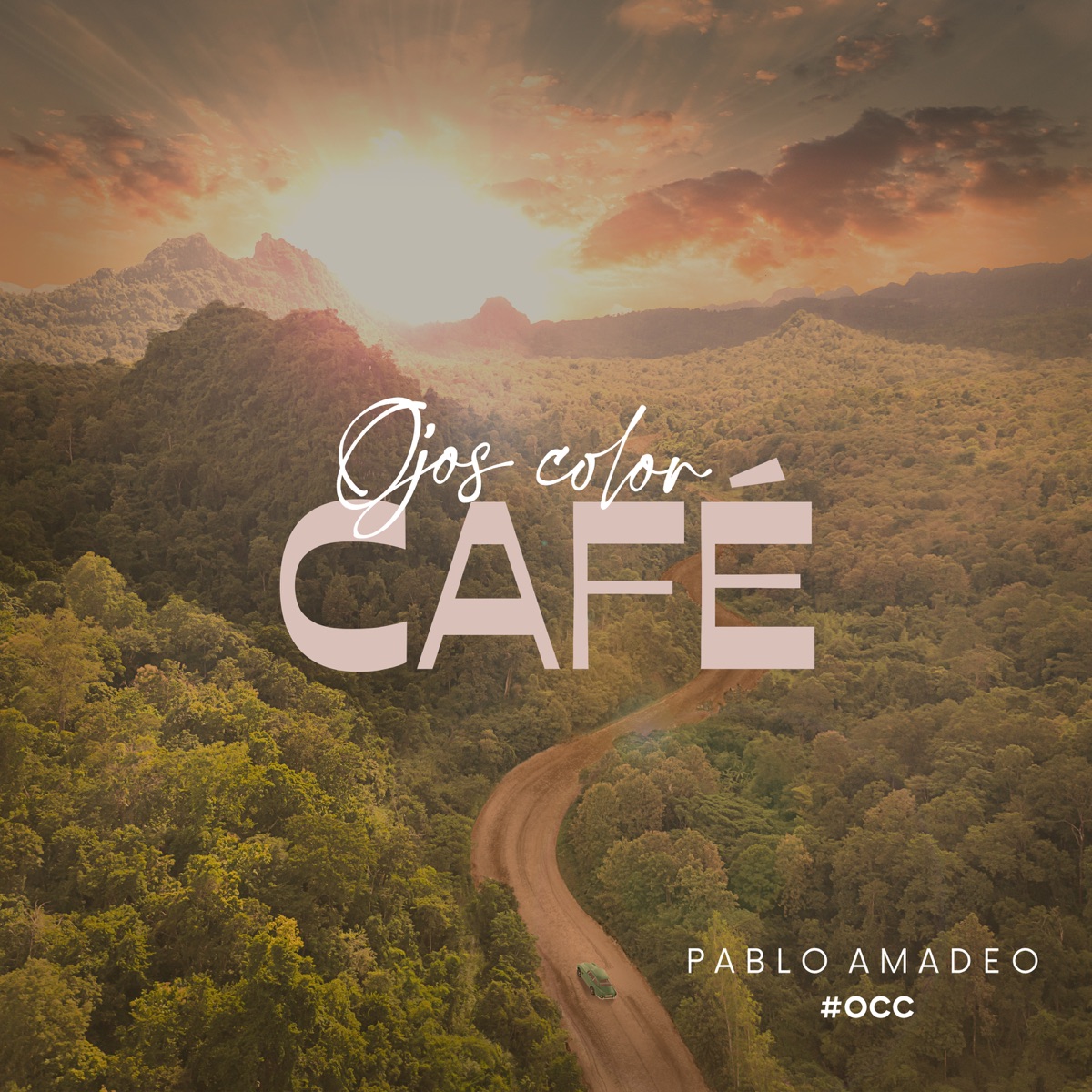 OJOS COLOR CAFÉ - Single by Pablo Amadeo album cover