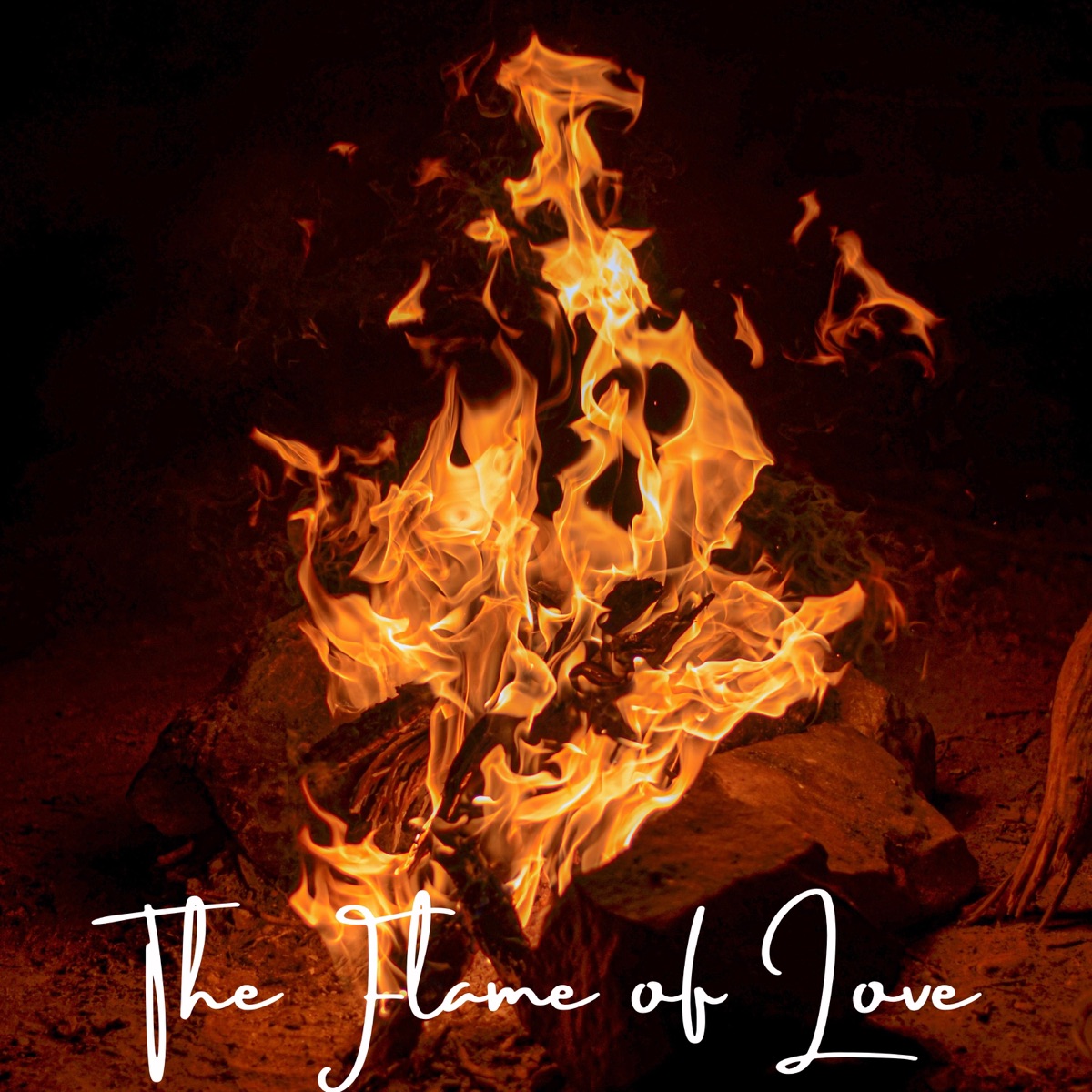 The Flame of Love - Single by Tharindu Damsara & Thiyunuwan Prabuddika album cover
