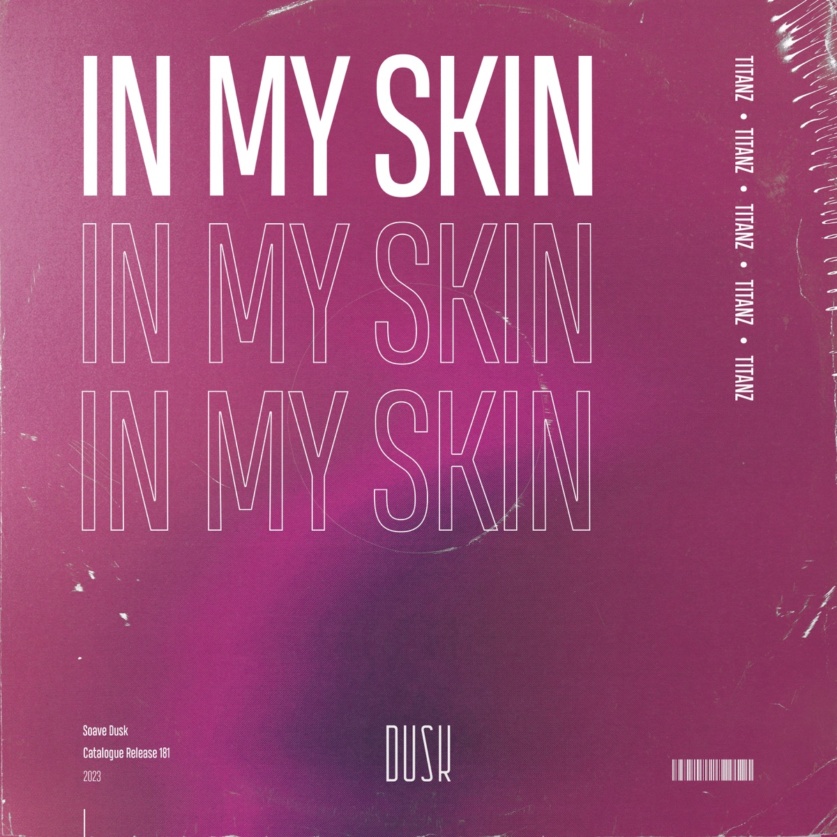In My Skin - Single by Titanz album cover