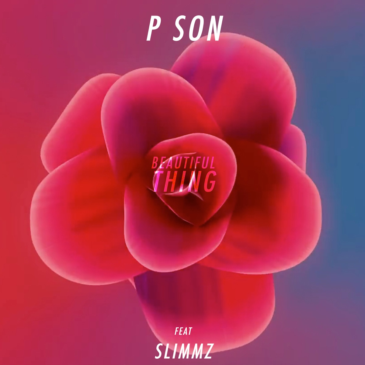Beautiful Thing (feat. Slimmz) - Single by PSON album cover
