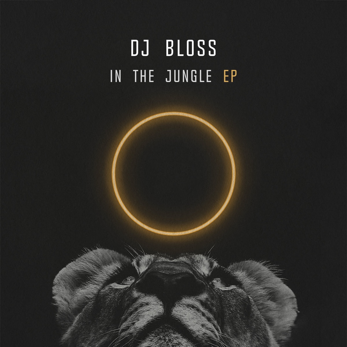 In The Jungle by DJ Bloss album cover