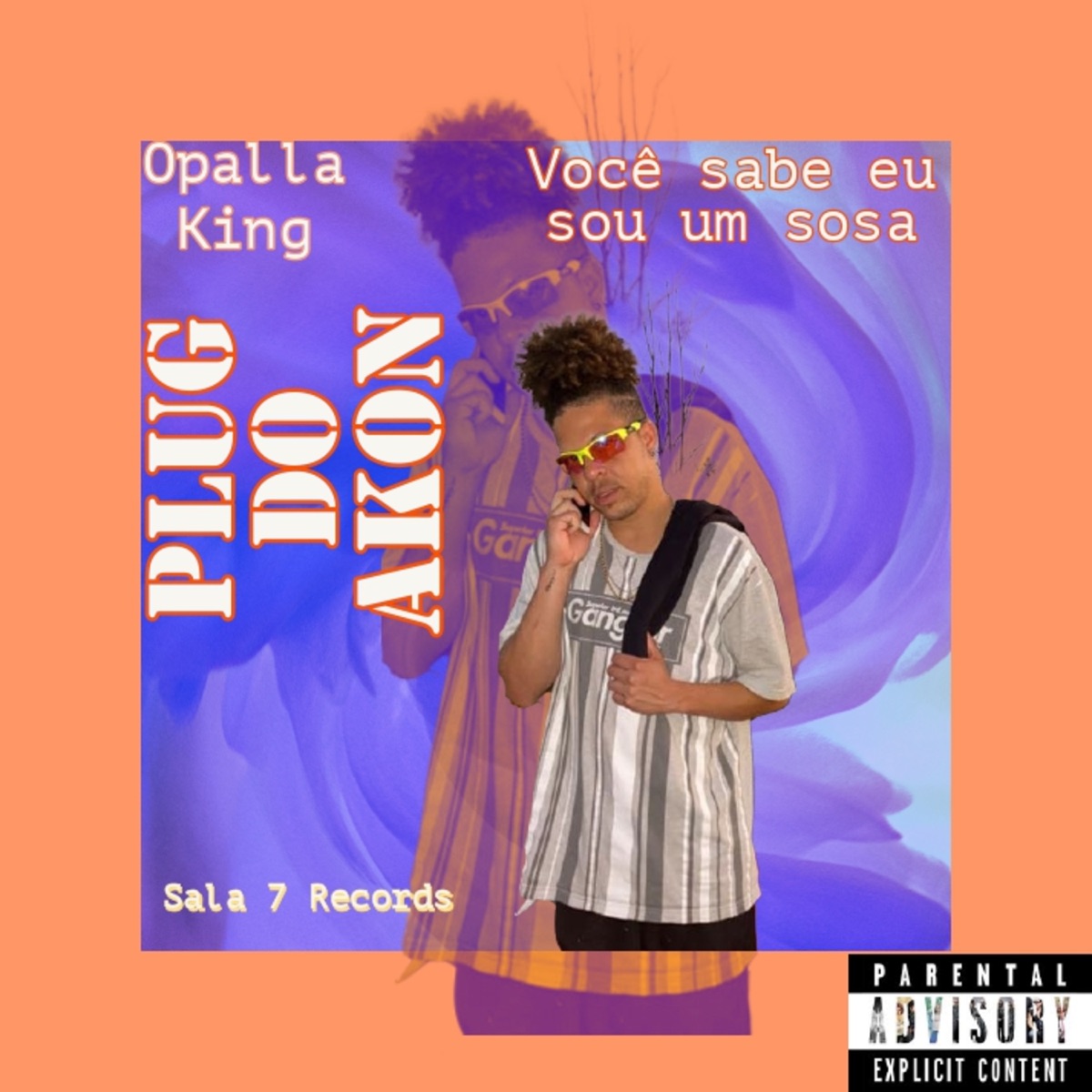 Plug do Akon (Você Sabe Eu Sou um Sosa) - Single by Opalla King album cover