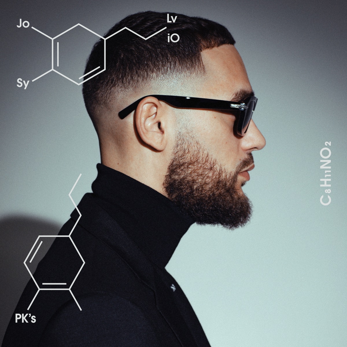 PK’s (feat. Moeman, Bokke8, Philly & KA) - Single by Josylvio album cover